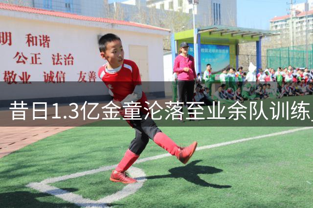 昔日1.3亿金童沦落至业余队训练 桑乔陨落记敲响职业球员警钟